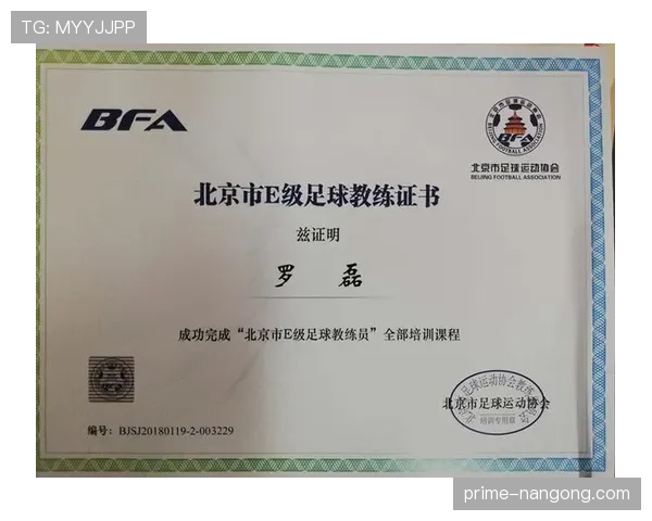 裁判尺度在足球判罚中的标准与执行细节解析