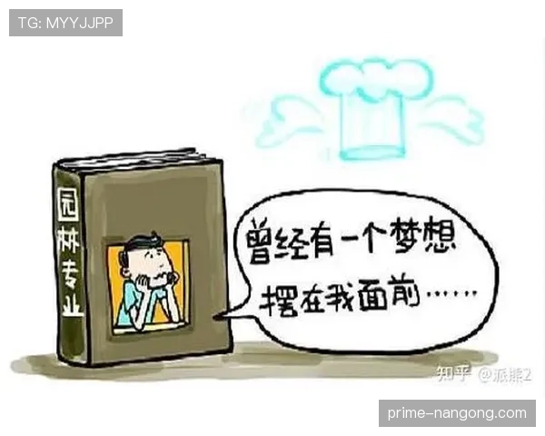 努涅斯高价转会后的期待与现实落差解析